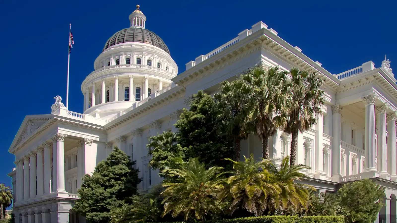 The California State Capitol in Sacramento, a white neoclassical building with a dome and columned portico, seen across the lawn from 10th and L Streets, photographed 23 March 2010. Photo by Steven Pavlov, CC BY-SA 3.0, via Wikimedia Commons.